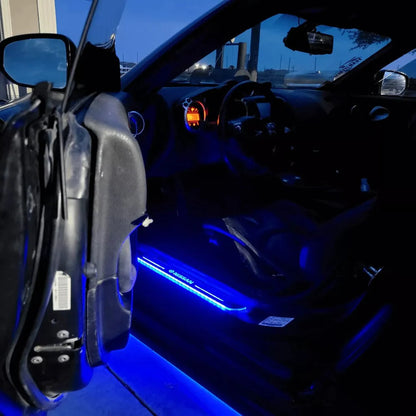 CAR LED THRESHOLD PLATES